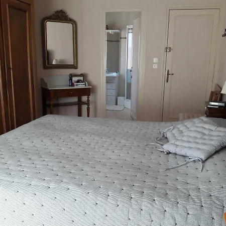 7 Rue Jules Robert * רויאן